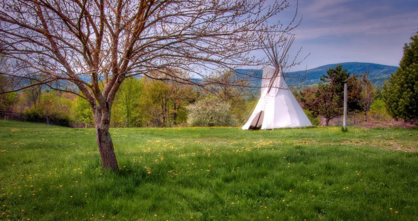 tipi
