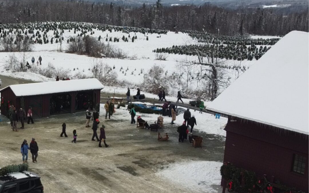 Holiday Heritage Comes Alive at The Rocks